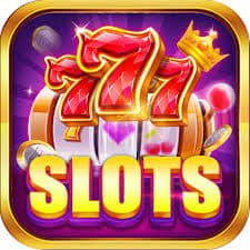 naga togel Capsa Susun player statistics and win rate tracking