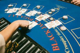 naga togel Sic Bo live table with dice cup and betting layout